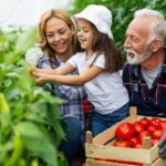 httpselements.envato.comgrandfather-growing-organic-vegetables-with-family-2VM7FFF-1.jpg